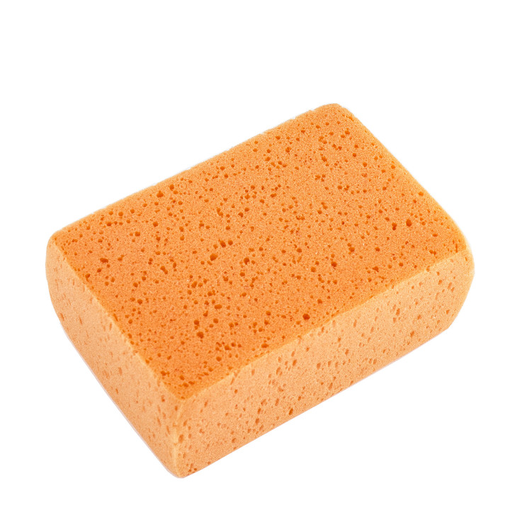 Svamp orange